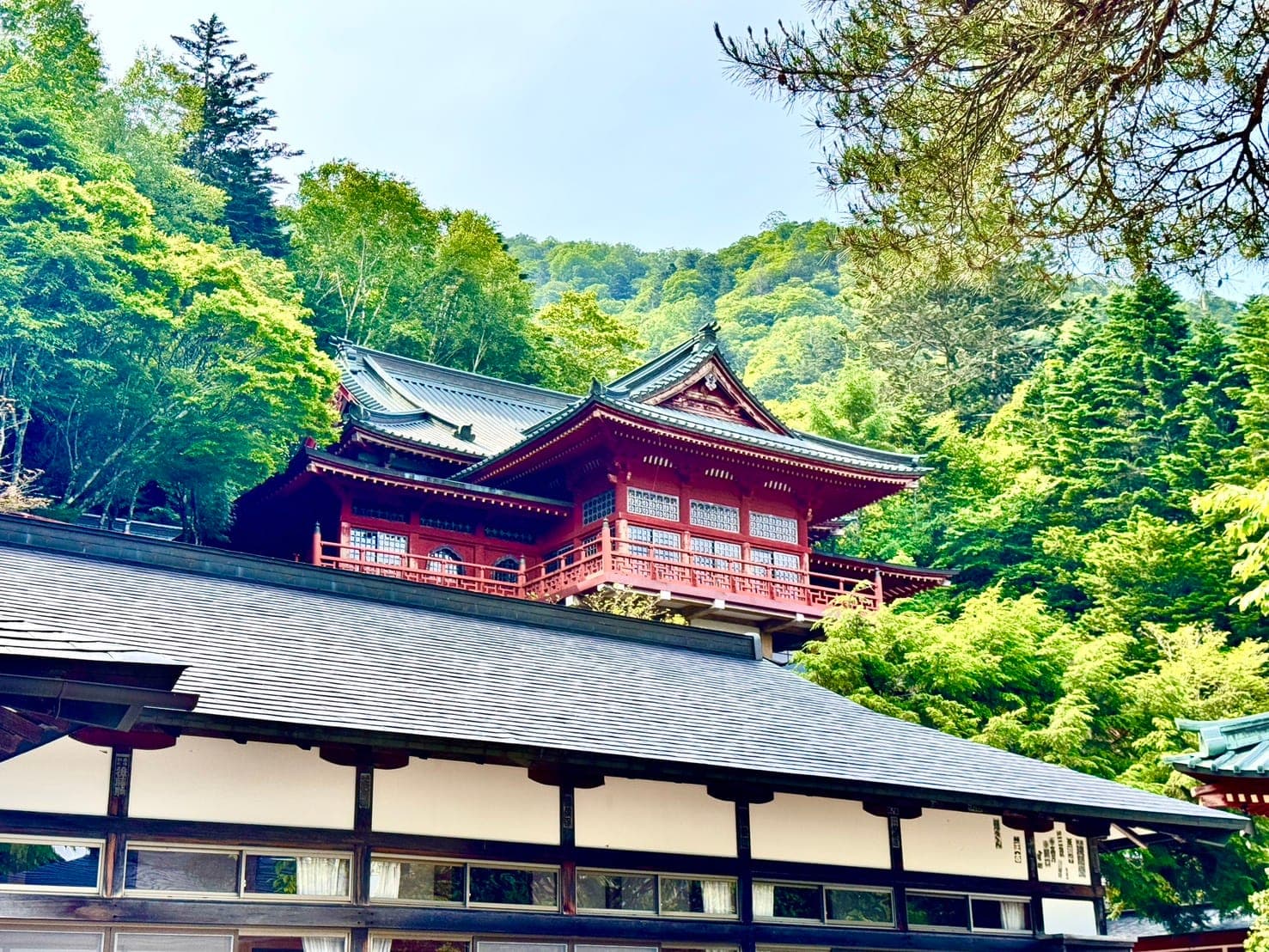 境内のご案内