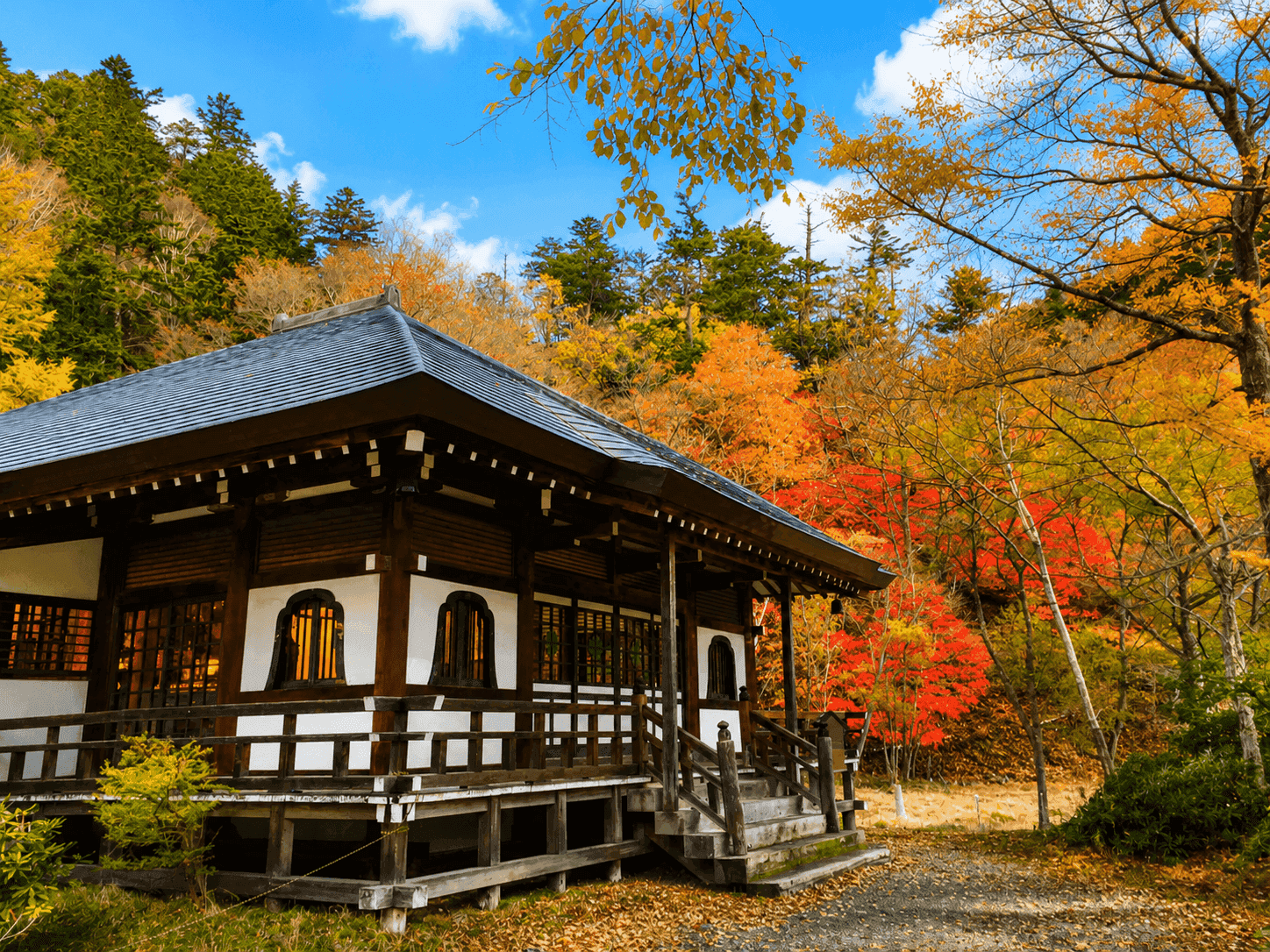 温泉寺の歴史